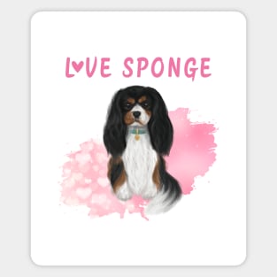 Tri-Colored Cavalier King Charles Spaniel Love Sponge Magnet